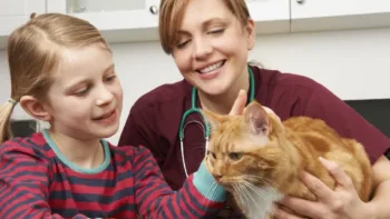 Pet Insurance 101